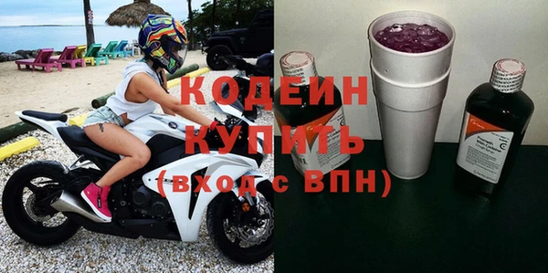 мдпв Бородино