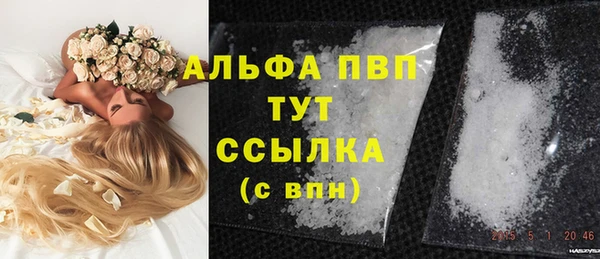 мдпв Бородино