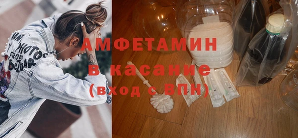 мдпв Бородино