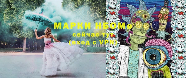 мдпв Бородино