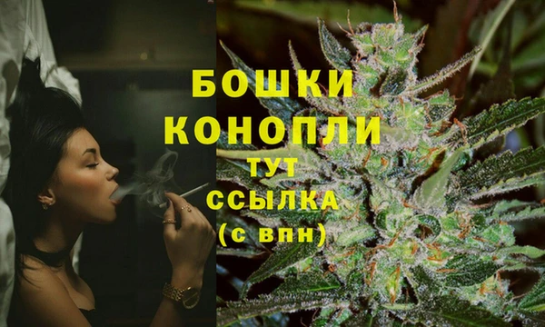 дурь Бронницы