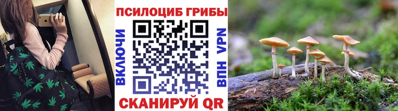 Галлюциногенные грибы Psilocybine cubensis  Буинск 
